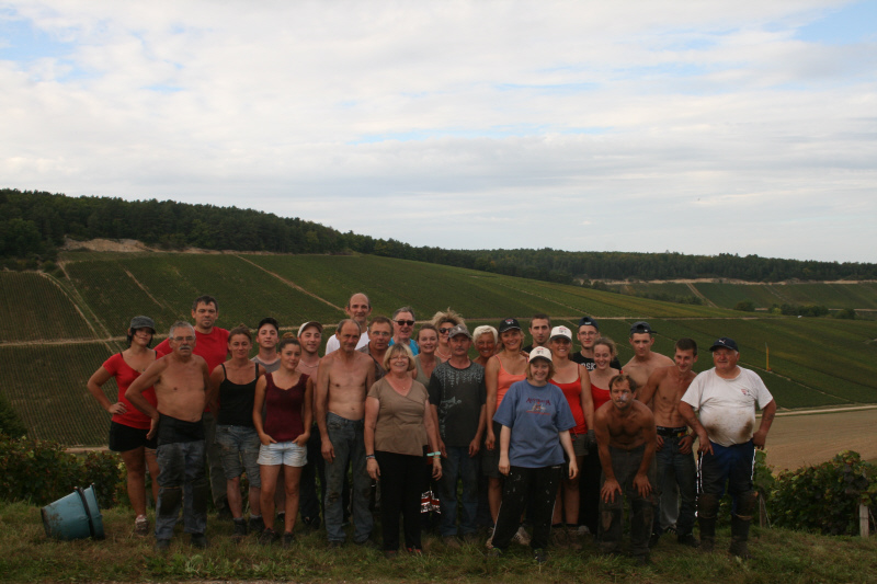 vendange2014.JPG